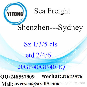 Shenzhen Port Sea Freight Versand nach Sydney